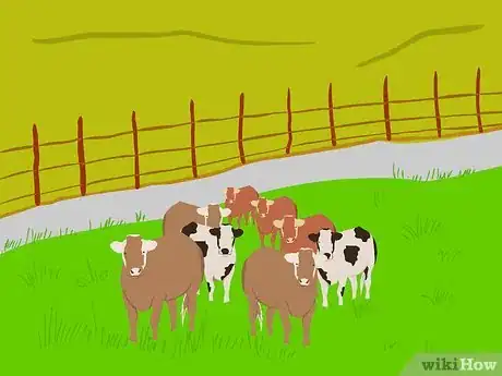 Image titled Graze Cattle on Pasture Step 5