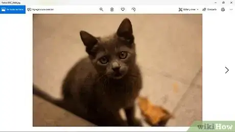 Image titled Make a Collage Step 1