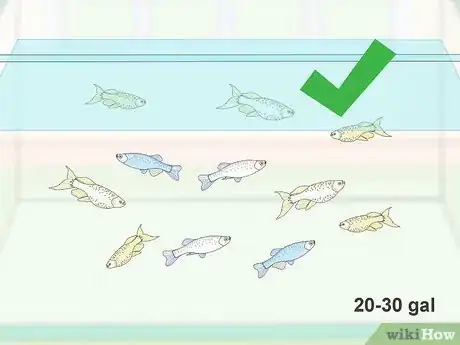 Image titled Breed Livebearing Tropical Fish Step 1