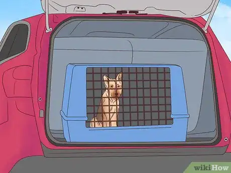 Image titled Travel with Dogs Step 7