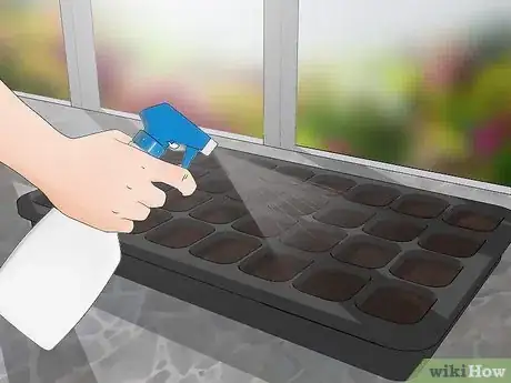 Image titled Grow Gaura Step 4