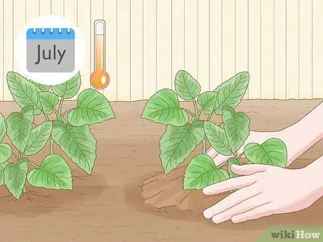 Image titled Grow a Summer Garden Step 1