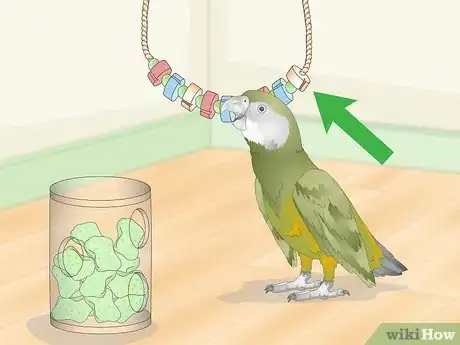 Image titled Keep a Senegal Parrot Entertained Step 14