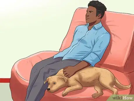 Image titled Care for Puggles Step 25