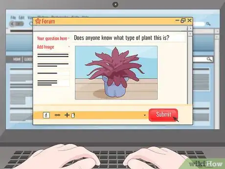 Image titled Identify a Houseplant Step 8