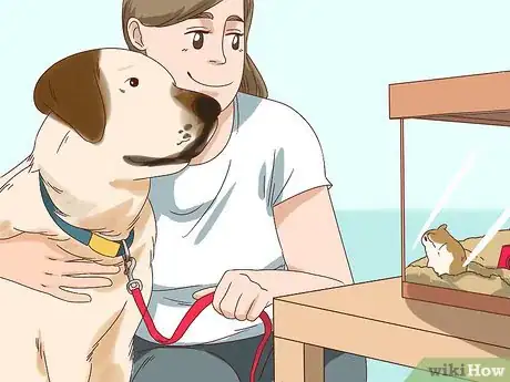 Image titled Keep a Gerbil Safe Around Other Pets Step 5