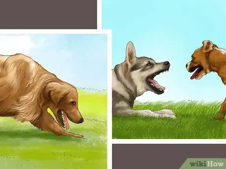 Image titled Make Your Dog Get Along With Other Dogs Step 9
