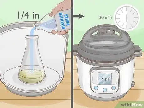 Image titled Grow Orchids from Seeds Step 7