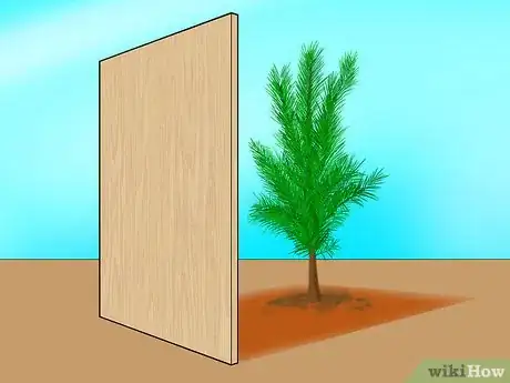 Image titled Plant Pine Trees Step 13