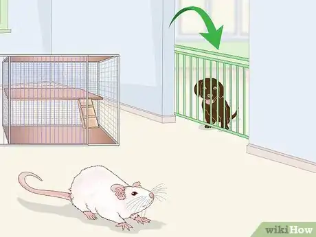 Image titled Keep Pet Rats Safe Around Other Pets Step 10