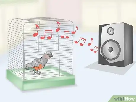 Image titled Keep a Red Bellied Parrot Entertained Step 5
