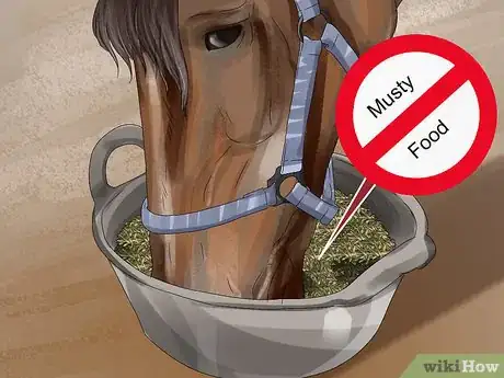 Image titled Prevent Botulism in Horses Step 4