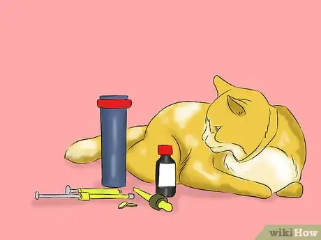 Image titled Help a Cat with Epileptic Seizures Step 8