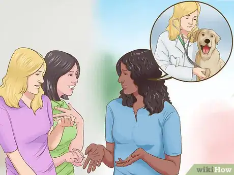 Image titled Provide Preventive Veterinary Care for Your Dog Step 6
