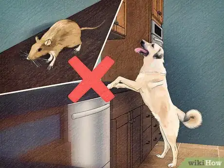 Image titled Protect Dogs from Poisonous Insects Step 15