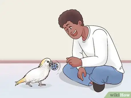 Image titled Deal with Obesity in Cockatoos Step 11