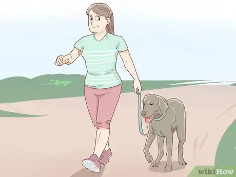 Image titled Train Your Dog to Walk or Heel Without a Choke Chain Step 6