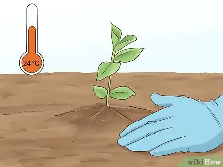 Image titled Plant Vinca Minor Step 7