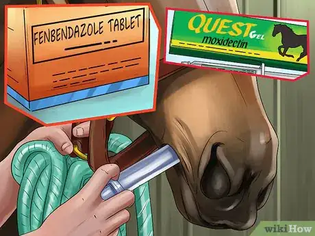 Image titled Get Rid of Strongyle Infestations in Horses Step 5