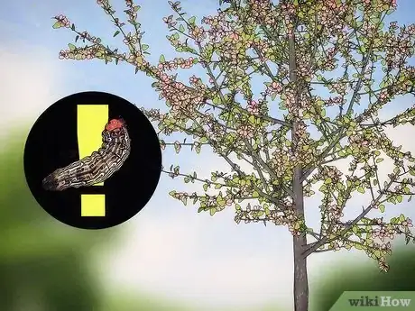 Image titled Grow Flowering Dogwood Step 18