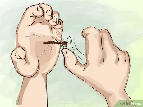 Image titled Avoid Mosquito Bites Step 3