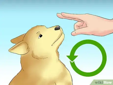 Image titled Train Teenager Stage Dogs Step 11