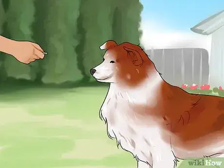 Image titled Choose the Right Dog Breed to Protect Your Home Step 11