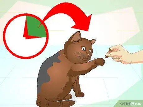 Image titled Teach Your Cat to Do Tricks Step 4