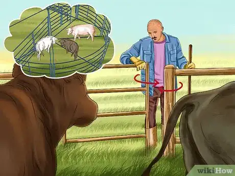 Image titled Sort Cows Step 6