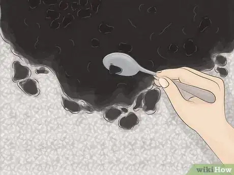 Image titled Remove Soot from Carpets Step 1