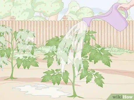 Image titled Prevent Spider Mites Step 1