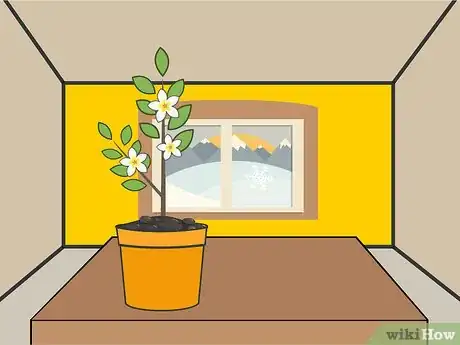 Image titled Plant Night Blooming Jasmine Step 14