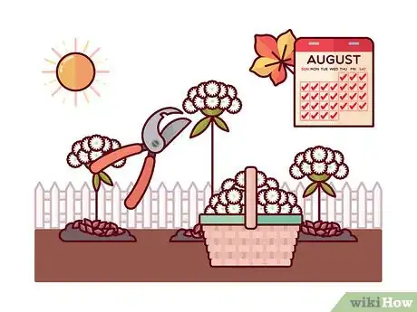 Image titled Grow Toothpick Weed Step 10