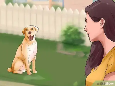 Image titled Care for a Dog with Brain Cancer Step 6