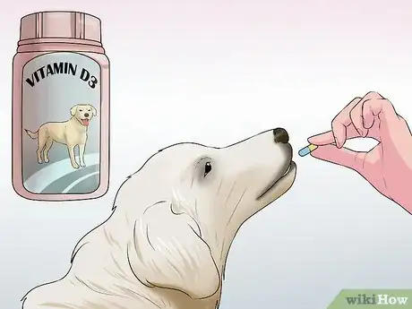 Image titled Control Shedding (Dogs) Step 9