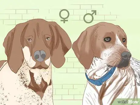 Image titled Prevent Dog Fights Step 20