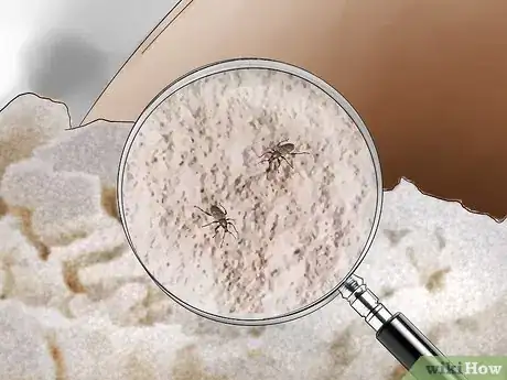 Image titled Get Rid of Weevils (Flour Bugs) Step 1