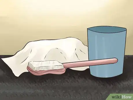 Image titled Bathe a Russian Tortoise Step 2