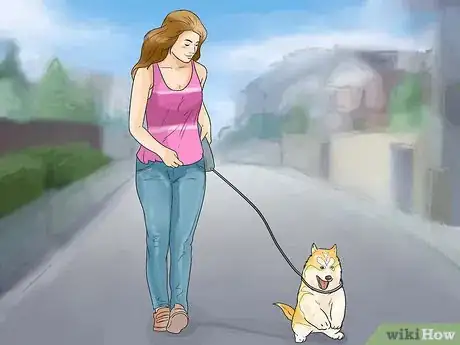Image titled Take Care of an Alaskan Husky Step 10