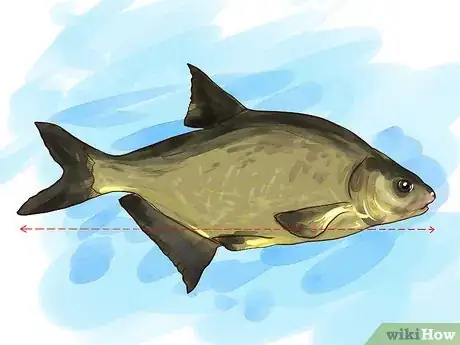 Image titled Fish For Bream Step 2