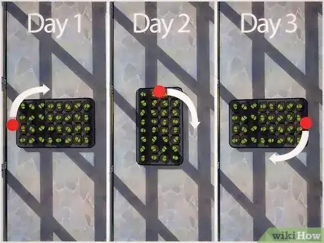 Image titled Grow Plants from Seed Step 12