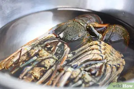 Image titled Grill Lobster Tails on a Gas Grill Step 5