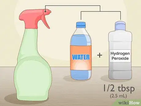 Image titled Grow Rainbow Eucalyptus Step 1