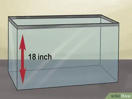 Image titled Care for a Seahorse Step 1