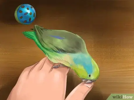 Image titled Care for a Pacific Parrotlet Step 17
