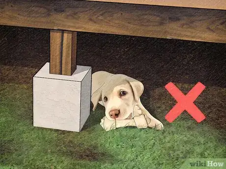 Image titled Protect Dogs from Poisonous Insects Step 13