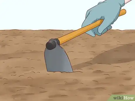 Image titled Plant Grass Plugs Step 3