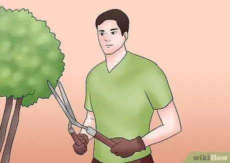 Image titled Prune Tardiva Hydrangea Step 8