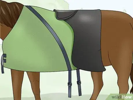 Image titled Take off a Horse Blanket Step 14