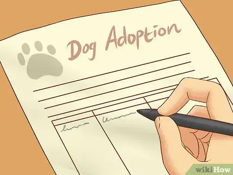 Image titled Interact with a Dog Before Adopting It Step 16